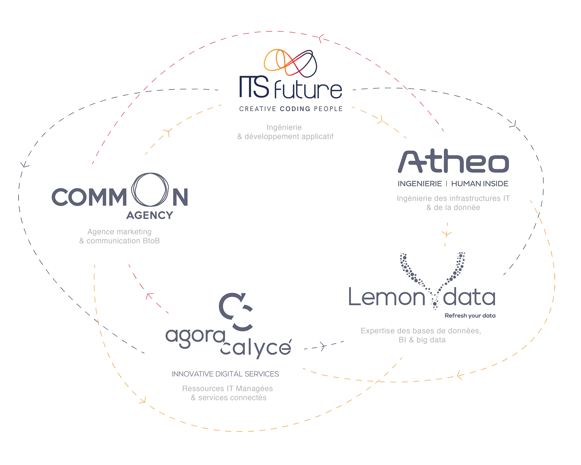 schema_ecosystem_itsf-opti cosystme