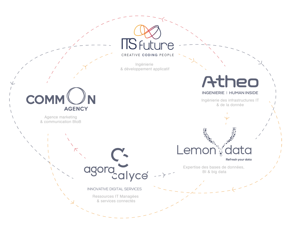 schema_ecosystem_ITSF-OPTI-1024x819